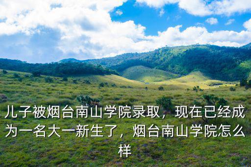 煙臺南山學院大三學費是多少,煙臺南山學院怎么樣
