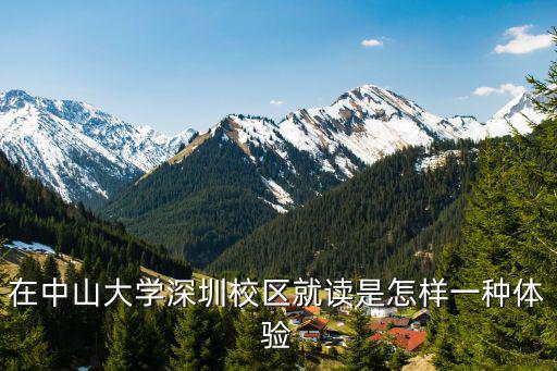 深圳大西麗校區怎么樣,哈工大本部與深圳校區哪個好