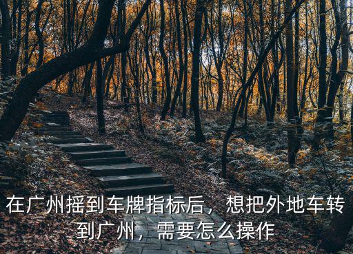 廣州搖中指標后怎么去選號,在廣州搖到車牌指標后