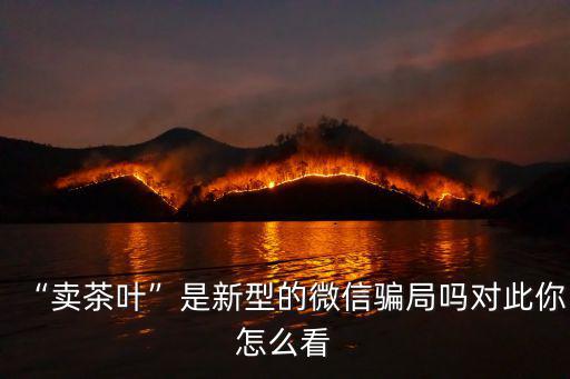 “賣茶葉”是新型的微信騙局嗎對此你怎么看