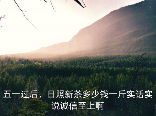 五一過后，日照新茶多少錢一斤實話實說誠信至上啊