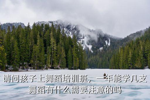 請問孩子上舞蹈培訓班，一年能學幾支舞蹈有什么需要注意的嗎