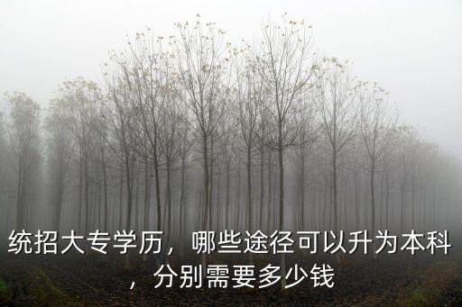 深圳統招專升本學費多少錢,統招大專學歷