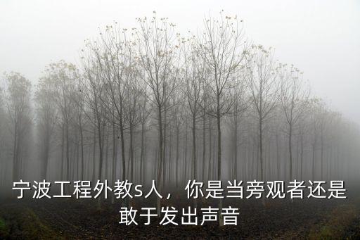寧波工程外教s人，你是當旁觀者還是敢于發出聲音