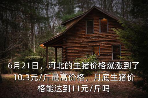 6月21日，河北的生豬價格爆漲到了10.3元/斤最高價格，月底生豬價格能達到11元/斤嗎