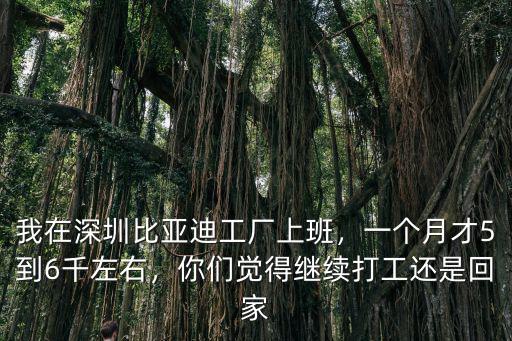 深圳比亞迪待遇怎么,我在深圳比亞迪工廠上班