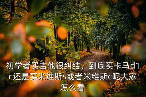 初學者買吉他很糾結，到底買卡馬d1c還是買米維斯s或者米維斯c呢大家怎么看
