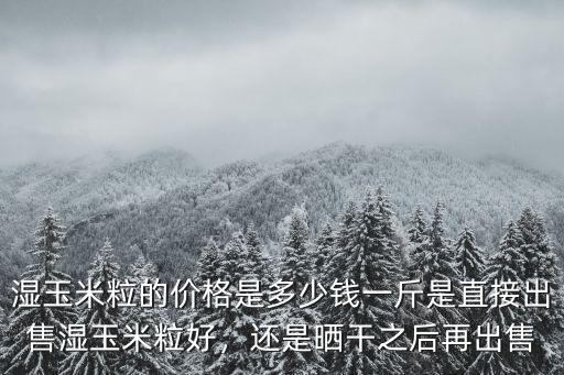 山東武城玉米粒多少錢一斤,濕玉米粒的價格是多少錢一斤