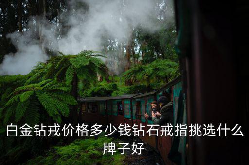 山東鉑金鉆石戒指多少錢,鉑金戒指多少錢