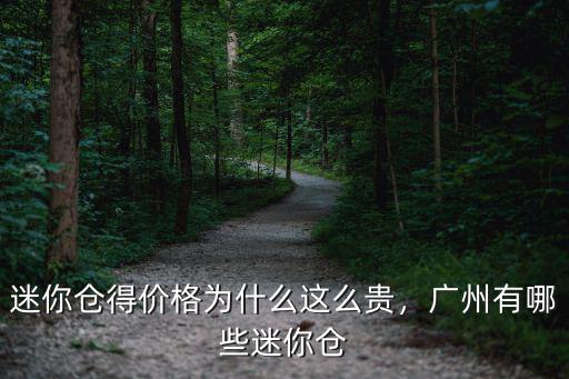 廣州哪里有賣迷你倉,迷你倉得價格為什么這么貴