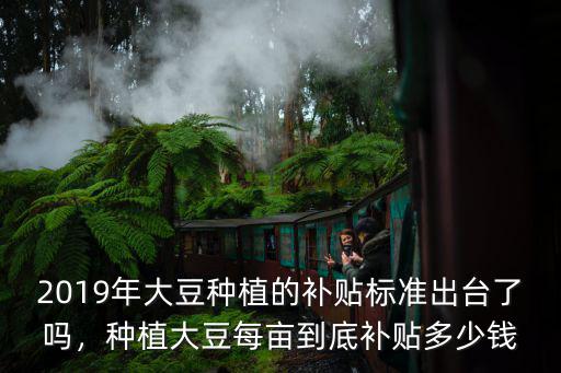 2019年大豆種植的補貼標準出臺了嗎，種植大豆每畝到底補貼多少錢