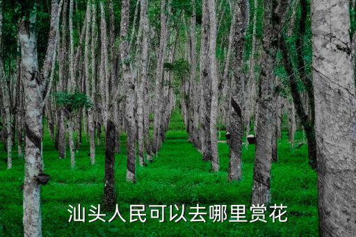 汕頭人民可以去哪里賞花