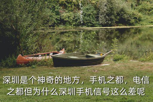 深圳大道網絡怎么樣,深圳迎賓大道