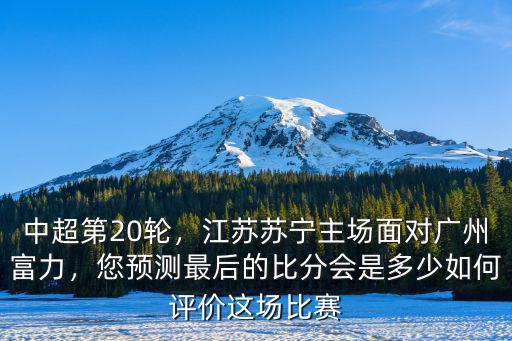 廣州富力vs江蘇蘇寧比分多少,江蘇蘇寧主場面對廣州富力