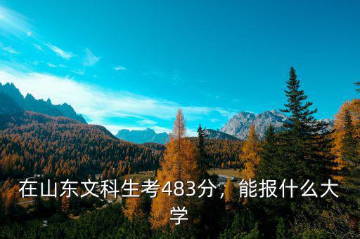 山東純文科生多少分本科,在山東文科生考483分
