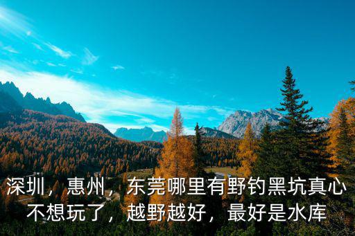 深圳，惠州，東莞哪里有野釣黑坑真心不想玩了，越野越好，最好是水庫