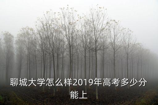今年高考聊城最高分是多少,今年河北高考最高分多少