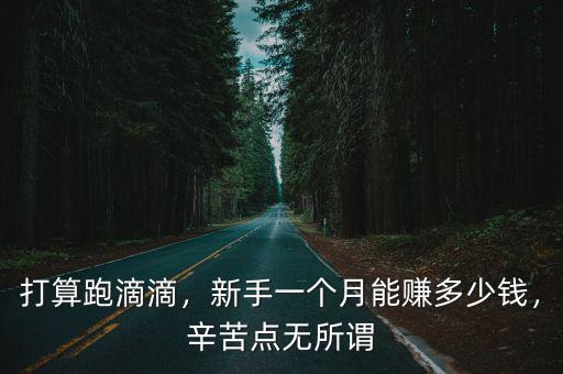 打算跑滴滴，新手一個(gè)月能賺多少錢，辛苦點(diǎn)無所謂