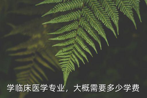 學臨床醫學專業，大概需要多少學費