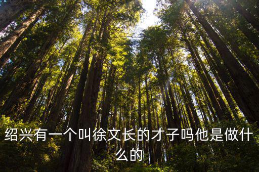 搜索 紹興才子有多少個,紹興有一個叫徐文長的才子嗎