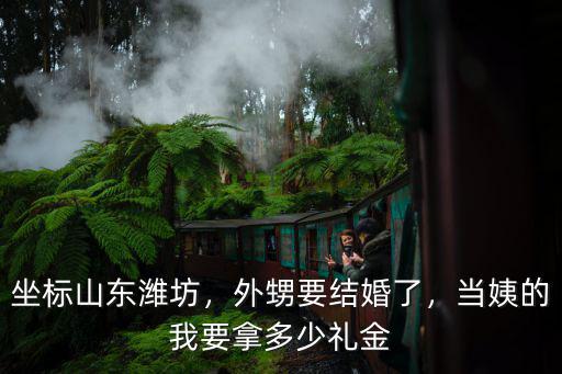 坐標山東濰坊，外甥要結婚了，當姨的我要拿多少禮金