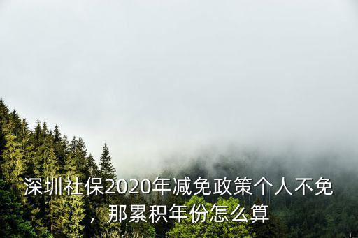 深圳社保2020年減免政策個人不免，那累積年份怎么算