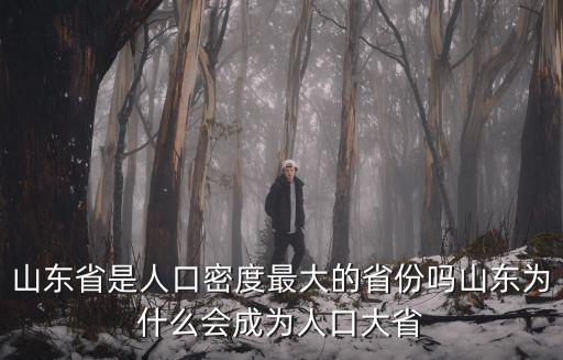 山東省是人口密度最大的省份嗎山東為什么會成為人口大省