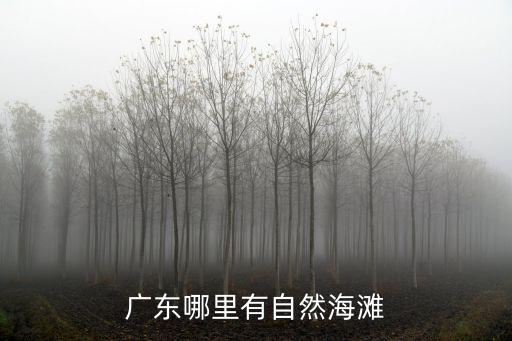 廣東有多少個孤島城市,廣東有多少個市