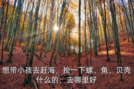 深圳趕海哪里最好撿螺,趕海在哪里撿海螺