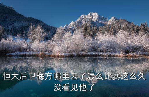 恒大后衛(wèi)梅方哪里去了怎么比賽這么久沒看見他了