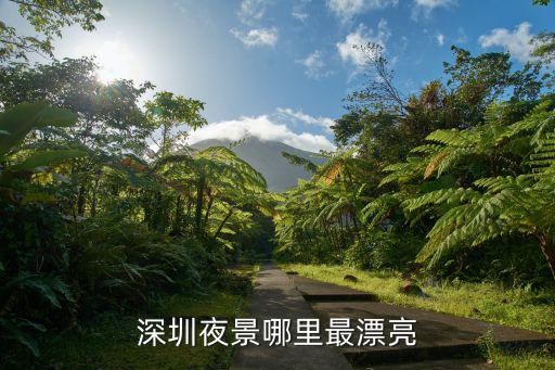 深圳哪里城市夜景最美,深圳哪里適合看夜景