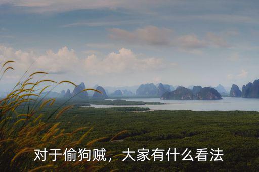 對于偷狗賊，大家有什么看法