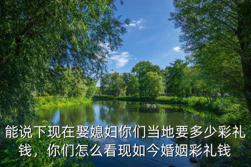 能說下現在娶媳婦你們當地要多少彩禮錢，你們怎么看現如今婚姻彩禮錢
