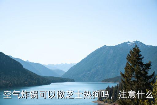 深圳哪里有賣炸芝士熱狗,空氣炸鍋可以做芝士熱狗嗎