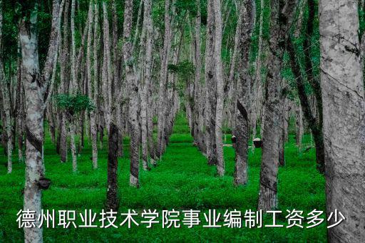 德州職業技術學院事業編制工資多少