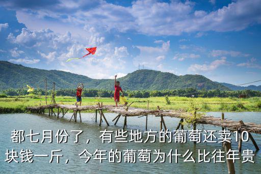 湖州葡萄多少錢一斤,今年的葡萄為什么比往年貴