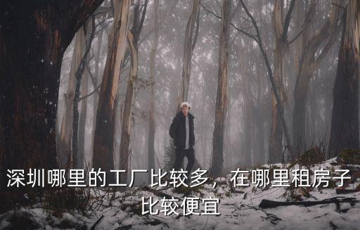 深圳哪里電子廠最多的區,在哪里租房子比較便宜
