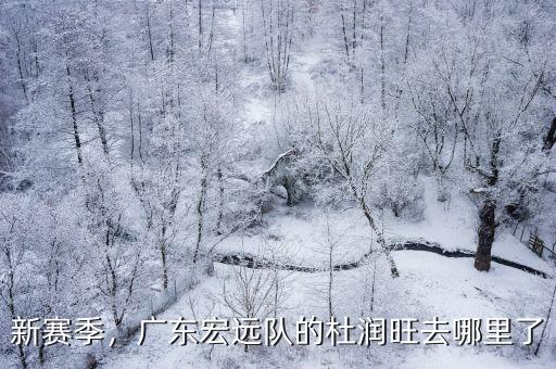 新賽季，廣東宏遠隊的杜潤旺去哪里了