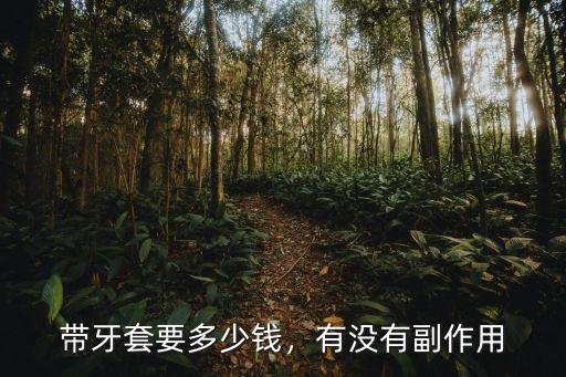 珠海帶鋼牙套多少錢,帶牙套要多少錢