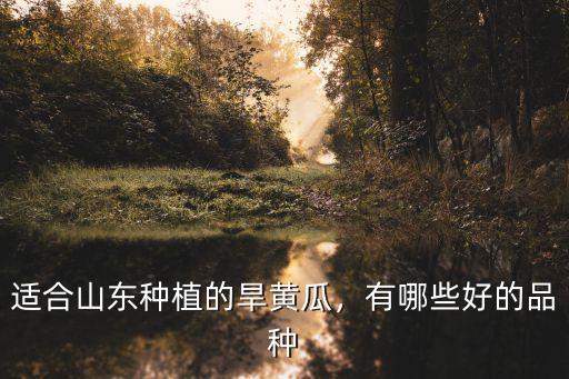 山東黃瓜畝產(chǎn)量一般多少斤,適合山東種植的旱黃瓜