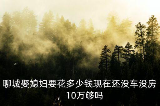 聊城吹娶錢是多少錢,聊城娶媳婦要花多少錢