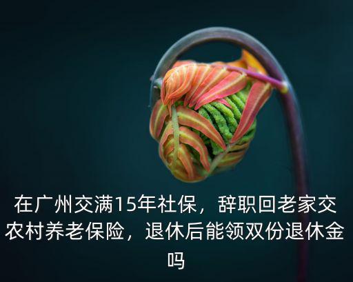 廣州社保退休金怎么發放,退休后能領雙份退休金嗎