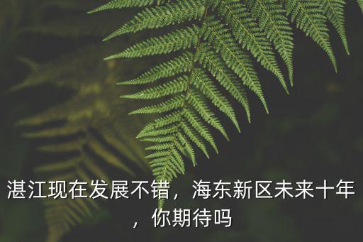 湛江現在發展不錯，海東新區未來十年，你期待嗎