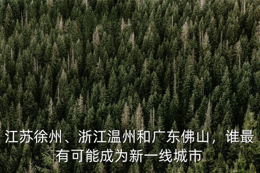 江蘇徐州、浙江溫州和廣東佛山，誰最有可能成為新一線城市