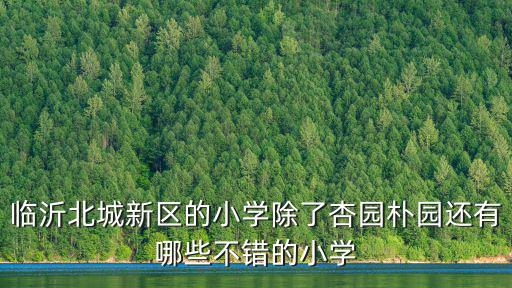 臨沂北城新區的小學除了杏園樸園還有哪些不錯的小學