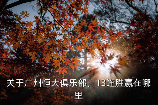 廣州恒大淘寶的主場在哪里,廣州恒大能否在主場參賽
