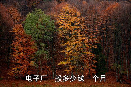 電子廠一般多少錢一個月