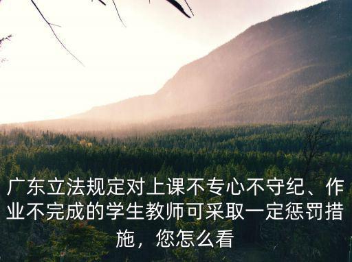 廣東立法規定對上課不專心不守紀、作業不完成的學生教師可采取一定懲罰措施，您怎么看