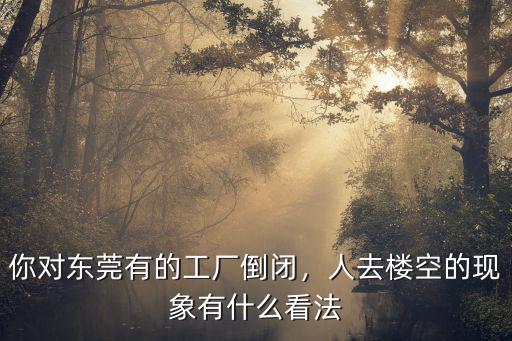 東莞電芯廠倒閉公司有多少,東莞為什么倒閉了很多工廠