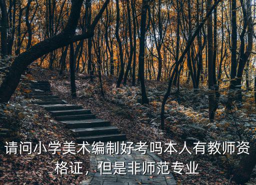 請問小學美術編制好考嗎本人有教師資格證，但是非師范專業